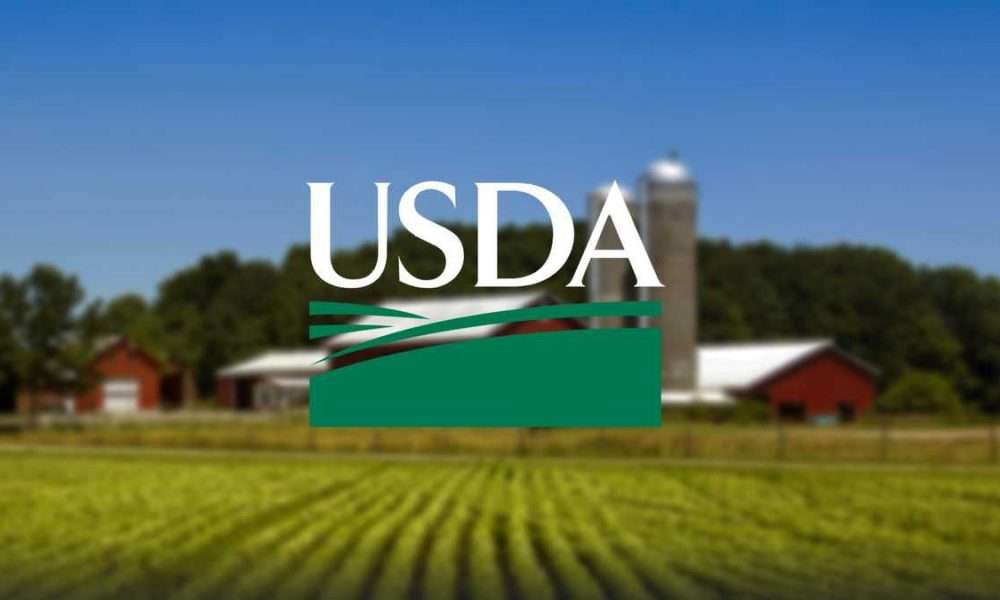 Read more about the article USDA Loans